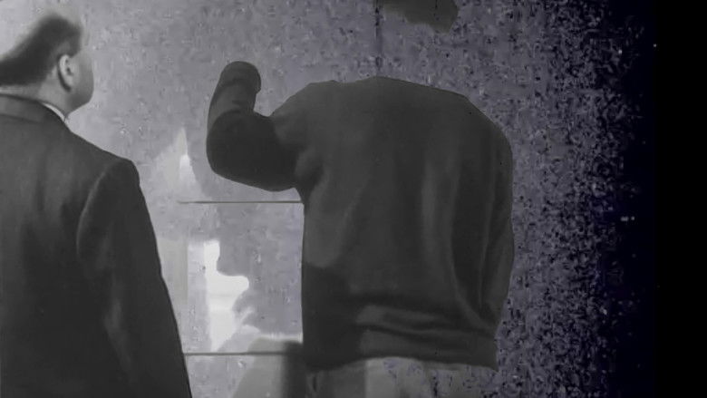 Backdrop image for movie The Past Is Here