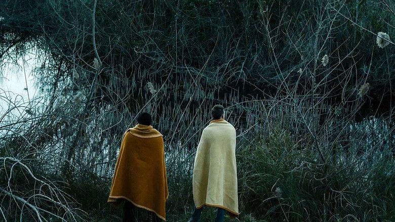 Backdrop image for movie All the Cities of the North