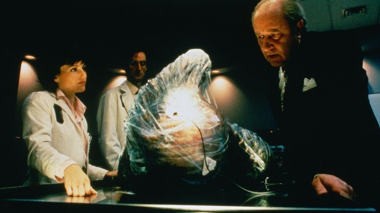 Backdrop image for movie The Fly II