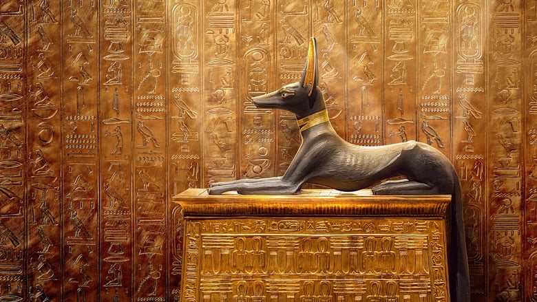 Backdrop image for movie King Tut: A Century of Secrets