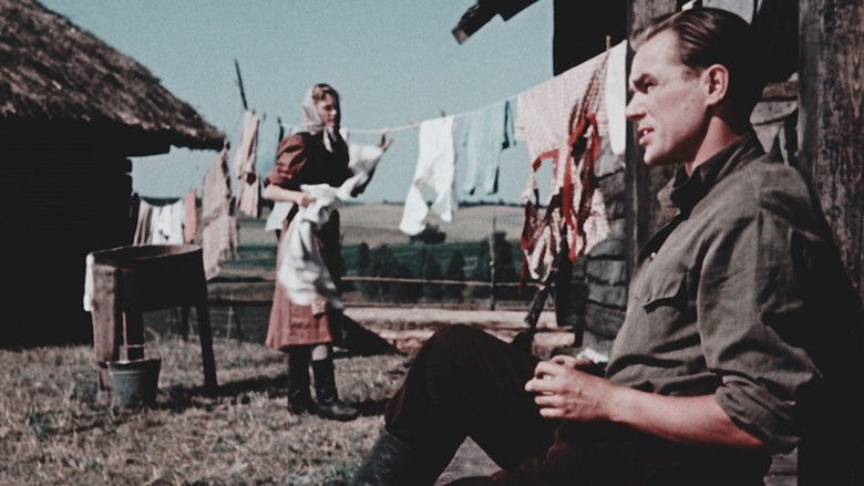 Backdrop image for movie Light Over Koordi