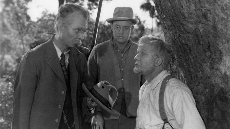 Backdrop image for movie The Bashful Bachelor