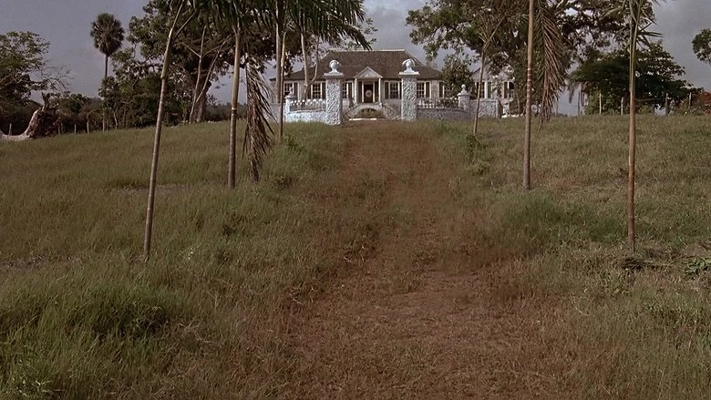 Backdrop image for movie Wide Sargasso Sea