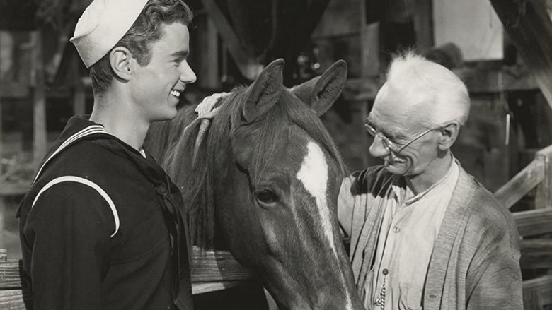 Backdrop image for movie Gallant Bess