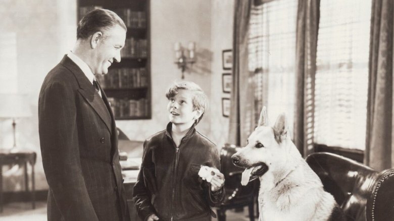 Backdrop image for movie Adventures of Rusty