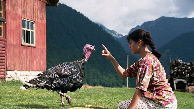 Backdrop image for movie Lost and Found