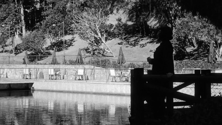 Backdrop image for movie “Quack”