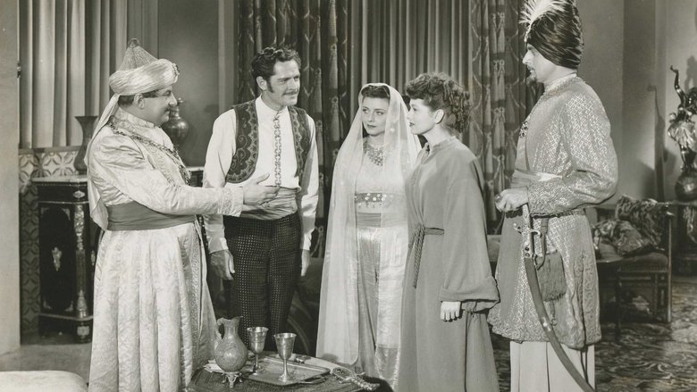 Backdrop image for movie Barbary Pirate