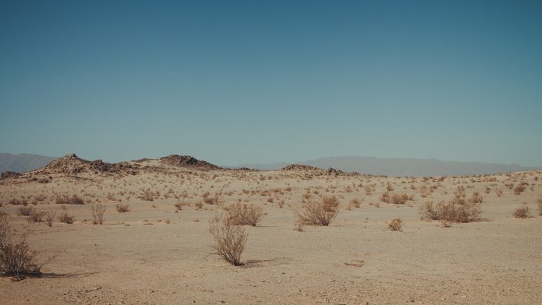 Backdrop image for movie Blue Boy