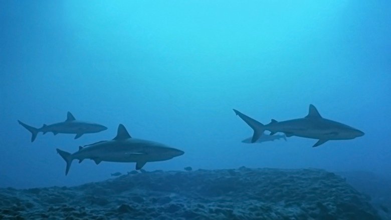 Backdrop image for movie Atlantis