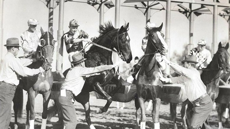 Backdrop image for movie The Lady's from Kentucky