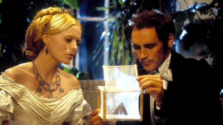 Backdrop image for movie Angels and Insects