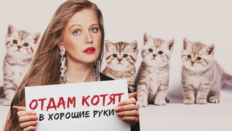 Backdrop image for movie Free Kittens to Good Home