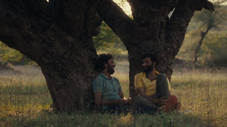 Backdrop image for movie Cactus Pears