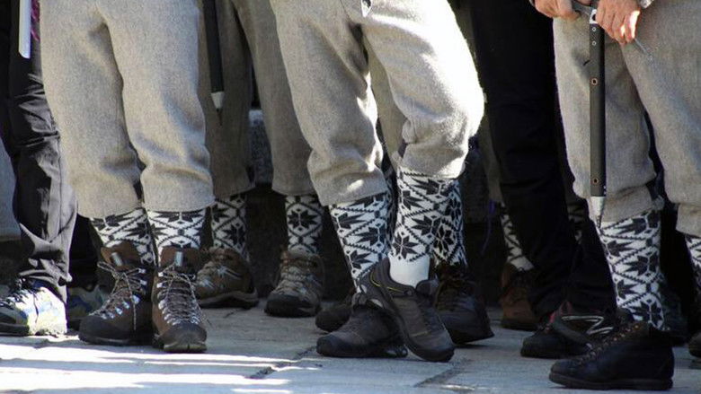 Backdrop image for movie The Companions Of The Void