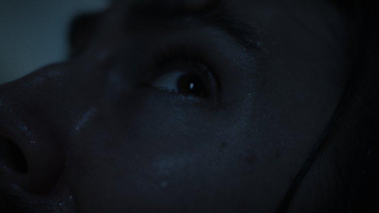 Backdrop image for movie The Dysphoria