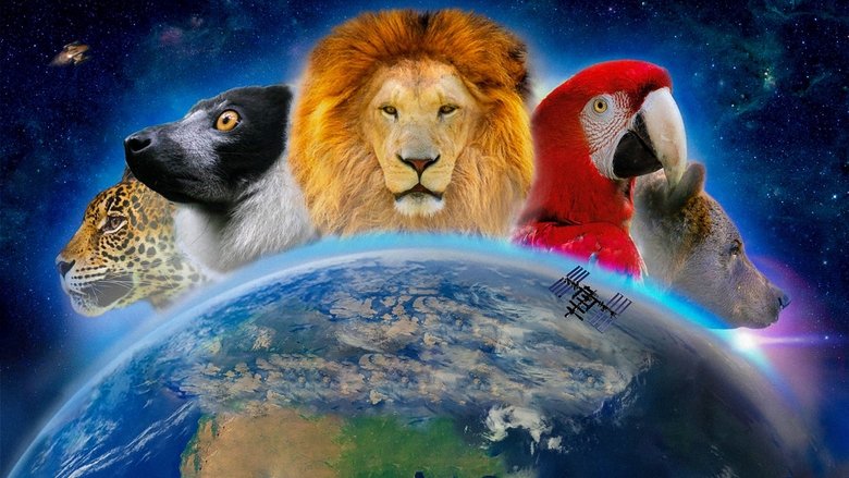 Backdrop image for movie Wonderful World 3D