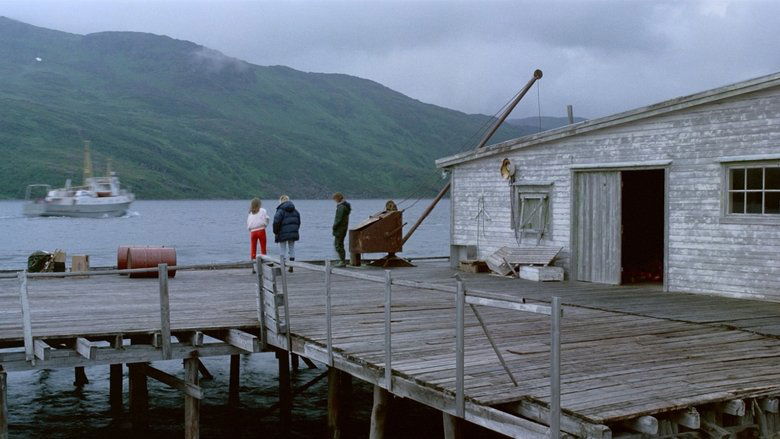 Backdrop image for movie A Year Along the Abandoned Road