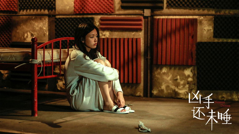 Backdrop image for movie Nessun Dorma