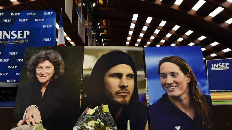 Backdrop image for movie Alain Vastine, les combats d'un père