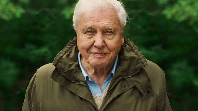Backdrop image for movie David Attenborough: A Life on Our Planet