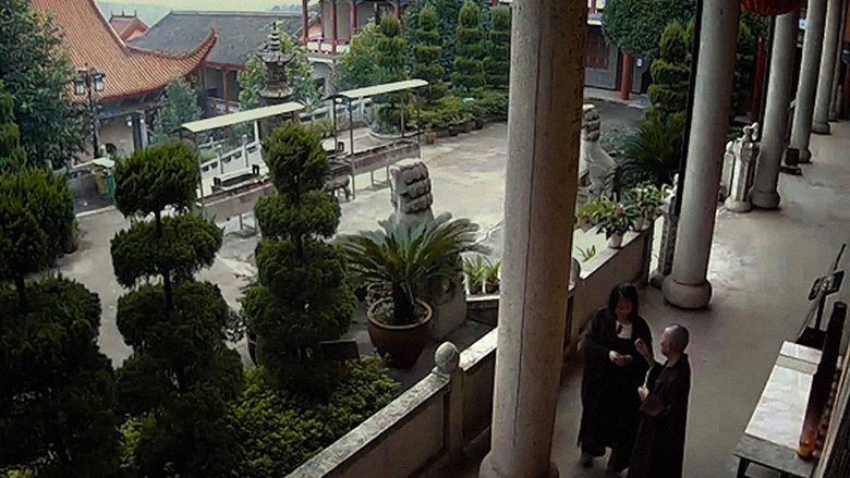 Backdrop image for movie Dragonfly Eyes