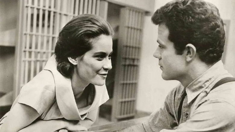 Backdrop image for movie Tess of the Storm Country