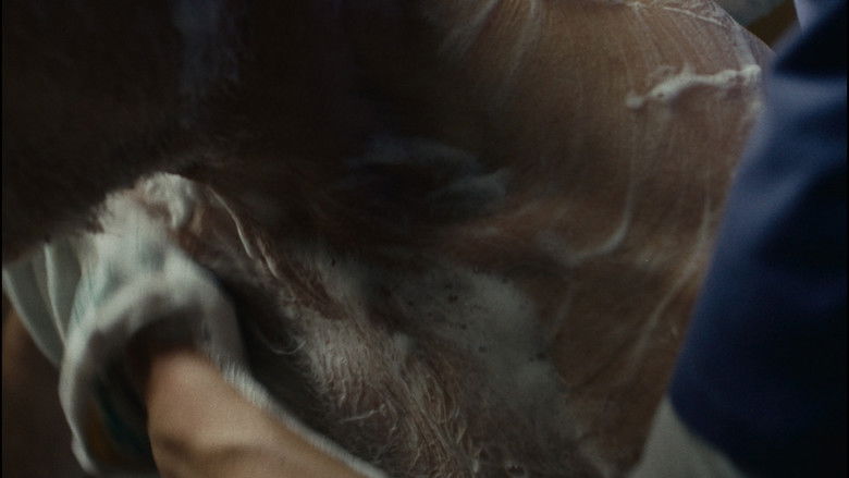 Backdrop image for movie Dignity Keeper