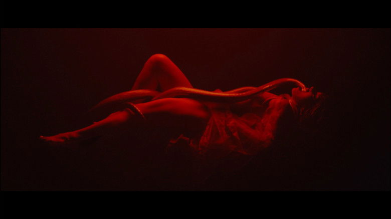 Backdrop image for movie Tundra