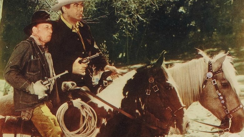 Backdrop image for movie The Law Comes to Gunsight