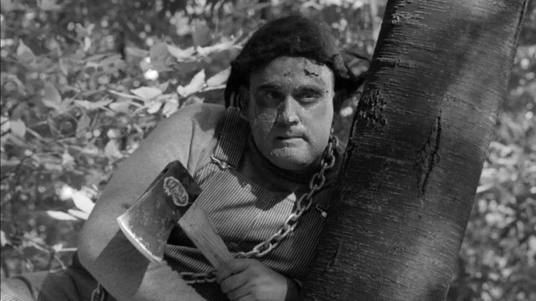 Backdrop image for movie The Monster of Camp Sunshine or How I Learned to Stop Worrying and Love Nature