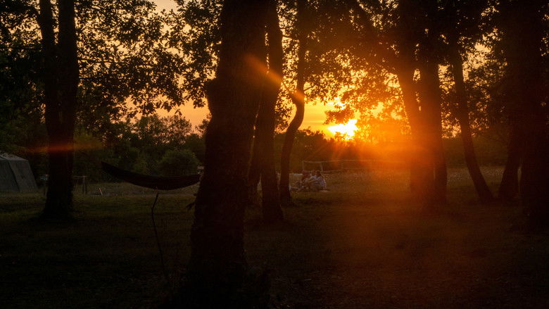 Backdrop image for movie The Red Boy-Scout