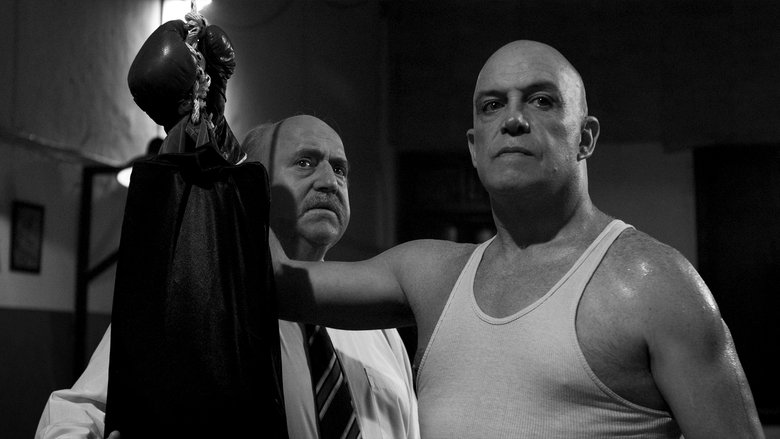 Backdrop image for movie El Púgil
