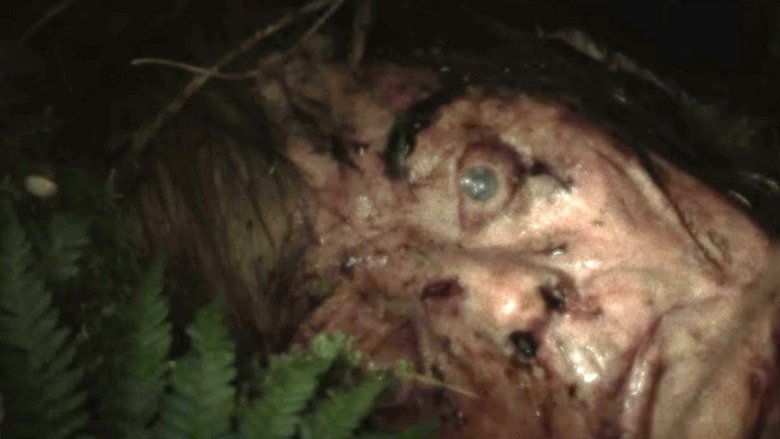 Backdrop image for movie Cold Ground