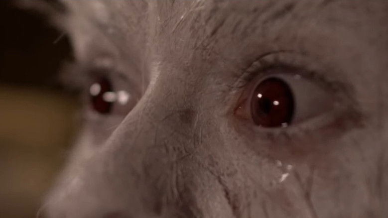 Backdrop image for movie Nona