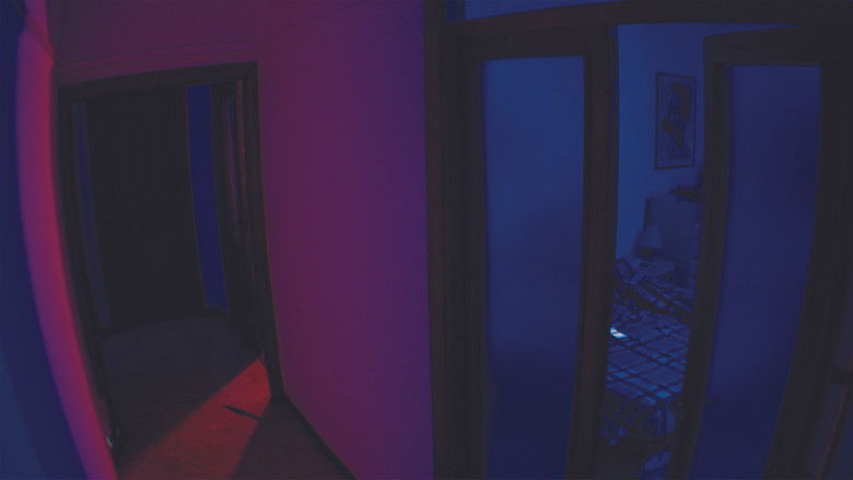 Backdrop image for movie All'ordine della notte