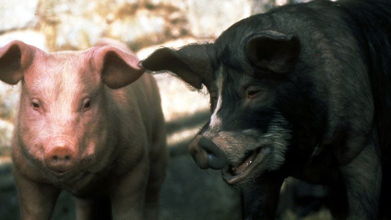 Backdrop image for movie Animal Farm