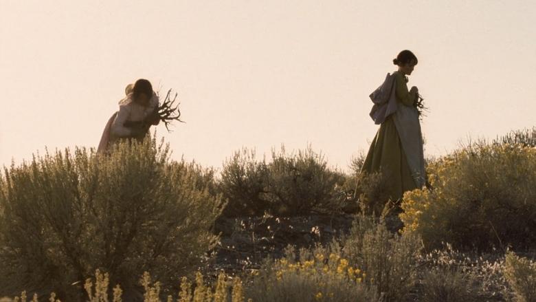 Backdrop image for movie Meek's Cutoff
