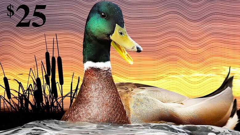 Backdrop image for movie The Million Dollar Duck