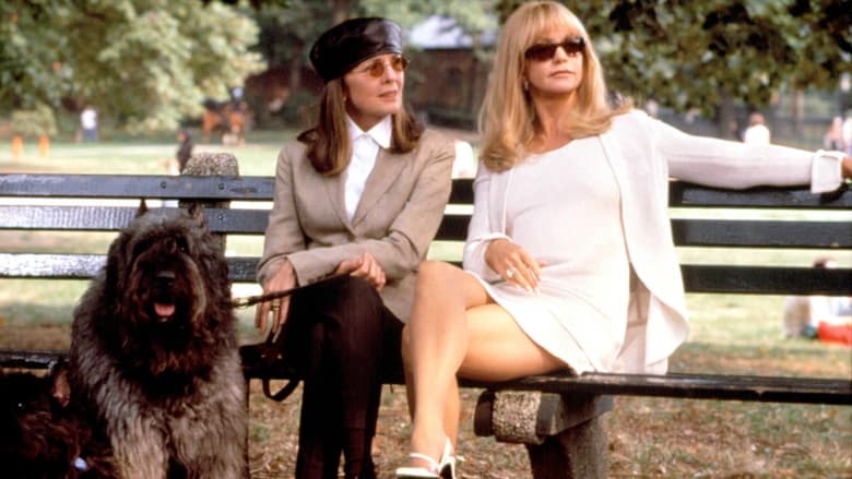 Backdrop image for movie Town & Country