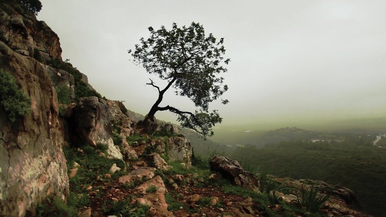 Backdrop image for movie Is Mindfulness Right for You?