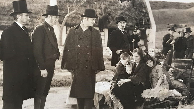 Backdrop image for movie Parnell