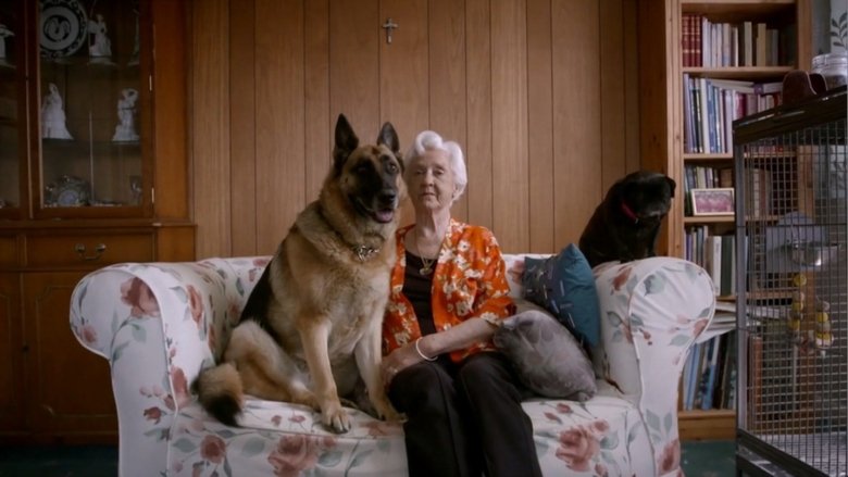 Backdrop image for movie The Age of Loneliness
