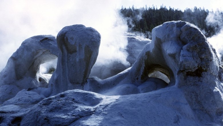 Backdrop image for movie Face of the Earth
