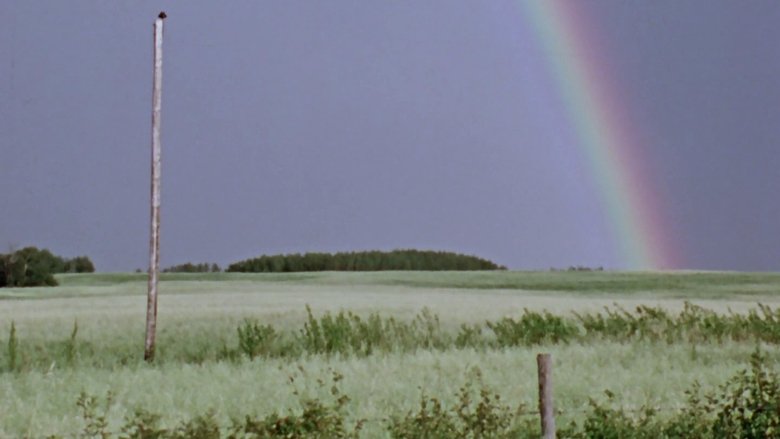 Backdrop image for movie We're Here to Stay