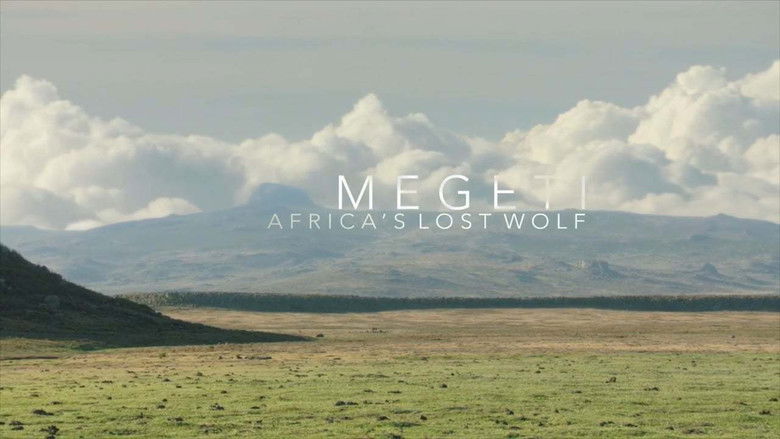Backdrop image for movie Megeti - Africa's Lost Wolf