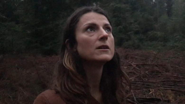 Backdrop image for movie Evil in the Woods