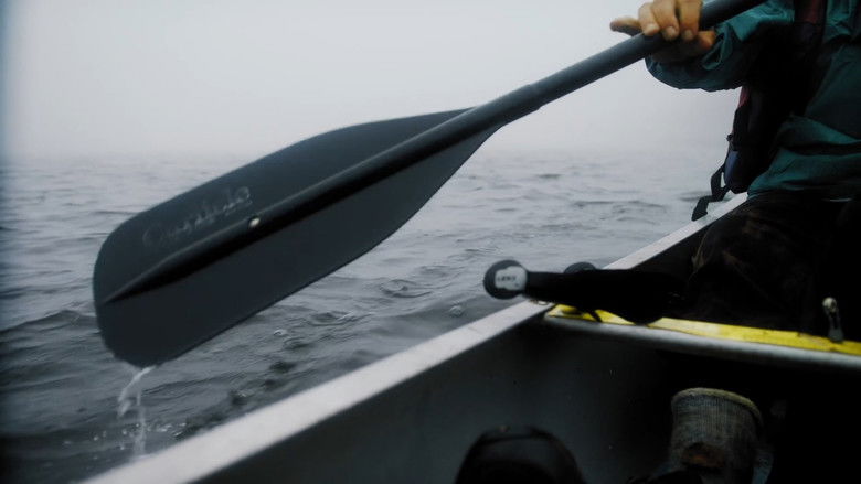 Backdrop image for movie Loon