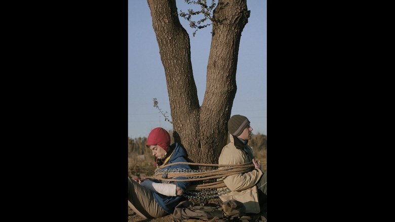 Backdrop image for movie The silent cry of the trees