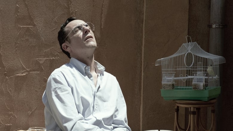 Backdrop image for movie Sicilian Letters